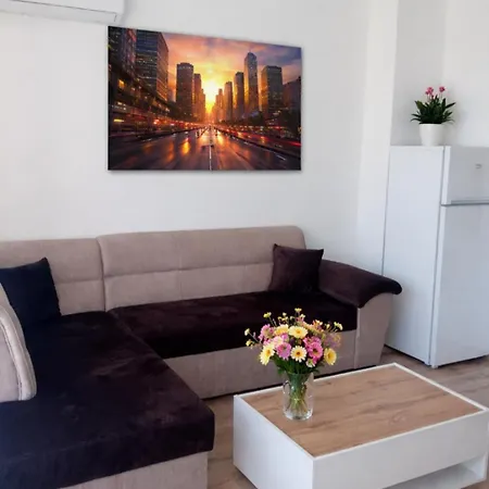Daire Gerbera Panoram